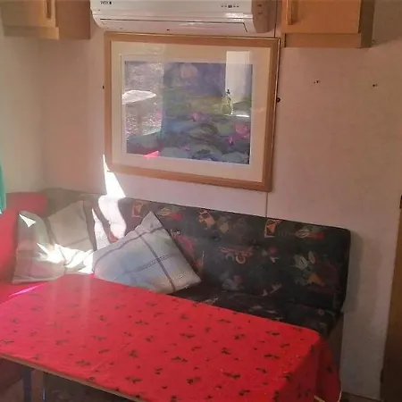 Campsite Tiny On Edge Of Forest *