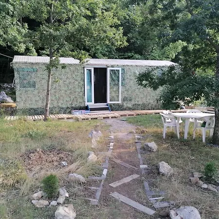 Tiny On Edge Of Forest